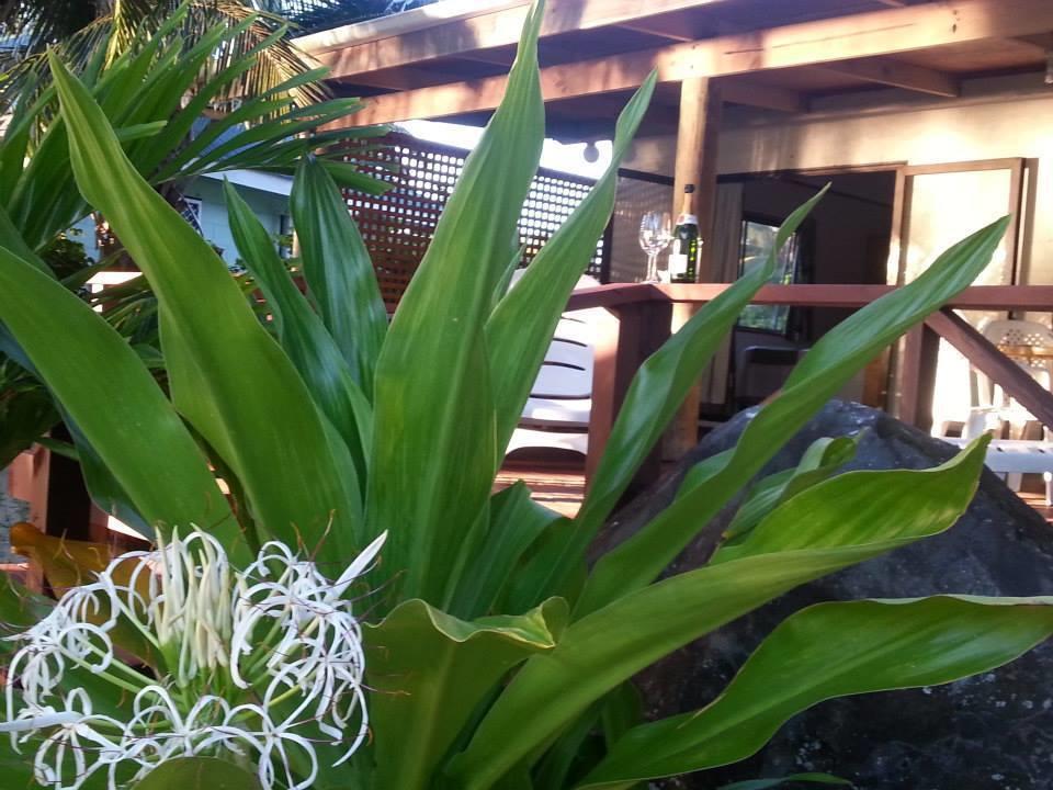 Sunset Palms Rarotonga酒店 外观 照片